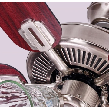 Adjustable ceiling fan with light